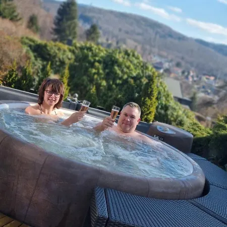 Bergpanorama Daire *