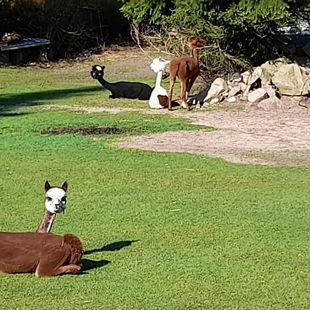 Bergpanorama Daire *