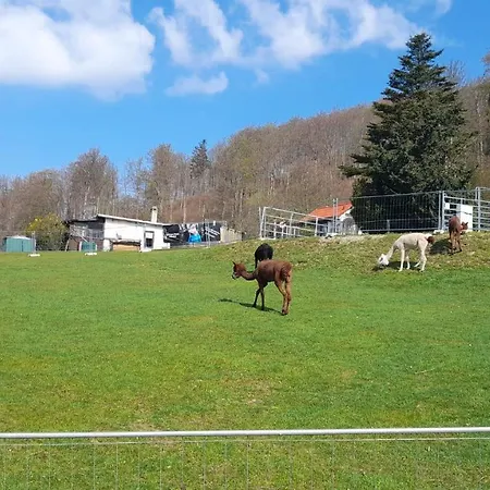 شقة Bergpanorama *