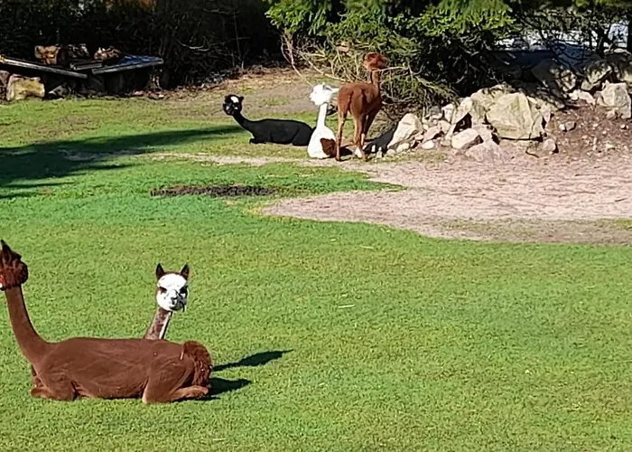 Bergpanorama Appartement *