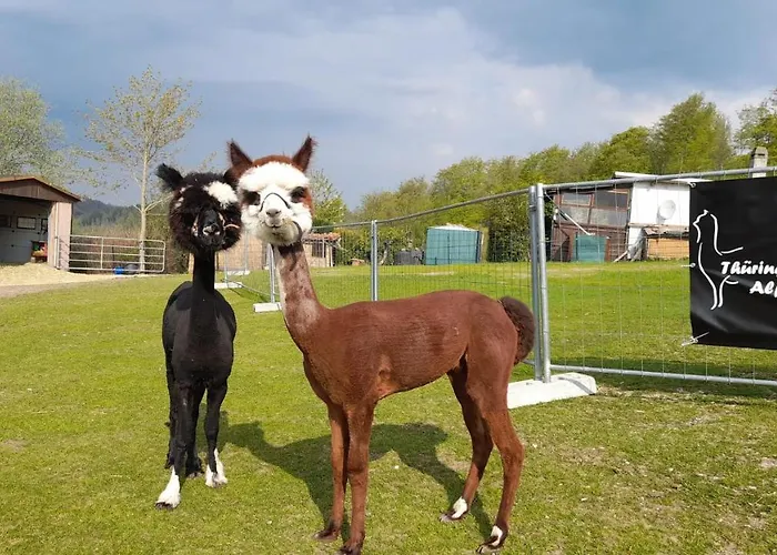 Apartment Bergpanorama *