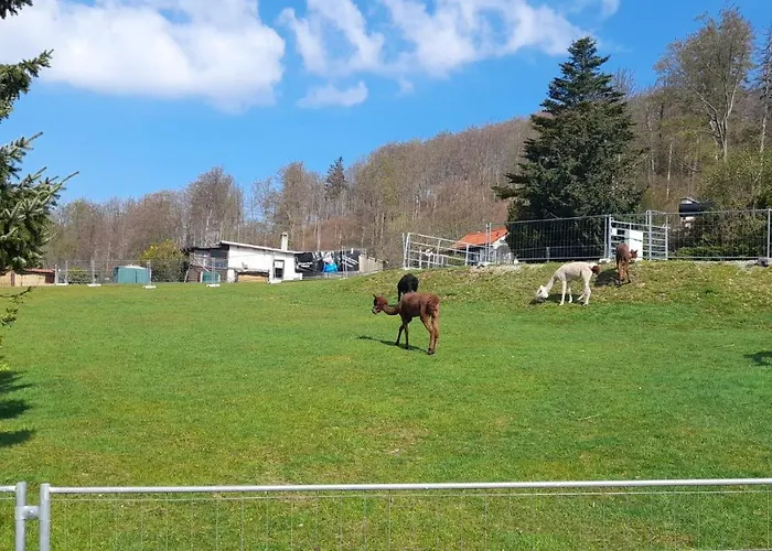 Apartment Bergpanorama *