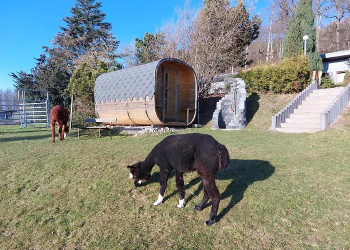 Appartement Bergpanorama Ruhla